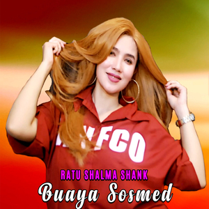 Buaya Sosmed