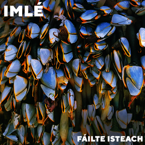 Fáilte Isteach (Remix Karl Odlum)