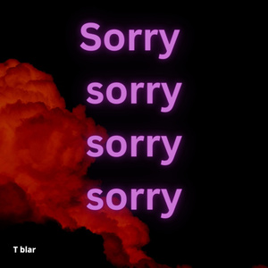Sorry Sorry