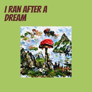 I ran after a dream