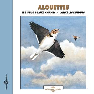 Alouette Hausse-Col Ailigas