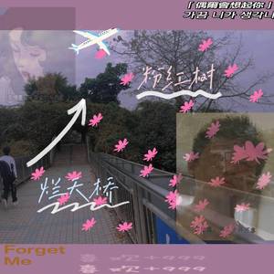 烂天桥上有颗粉红树（prod.byR7)