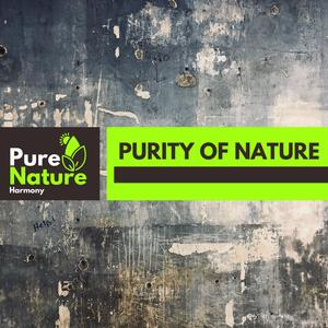 Magical Birds Singing