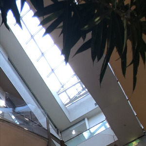 find me (feat. 可不)