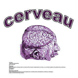 Cerveau
