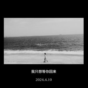 我只想等你回来