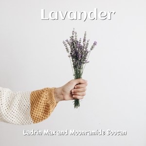 Lavander