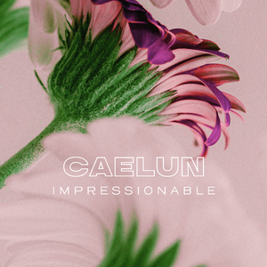 Impressionable
