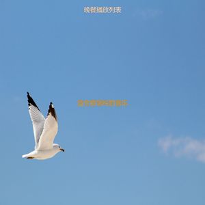 适合旅馆纯的音乐