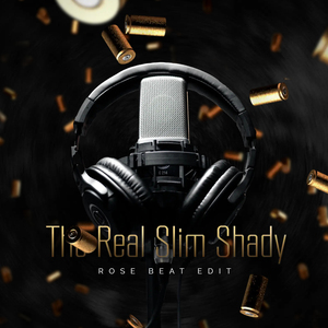 The Real Slim Shady TikTok (Remix)