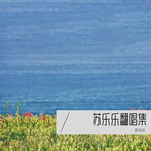 xc (苏乐乐 remix)