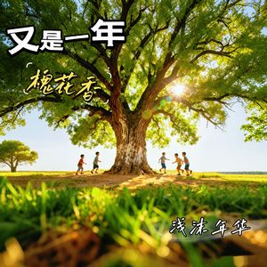 又是一年槐花香