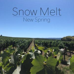 New Spring