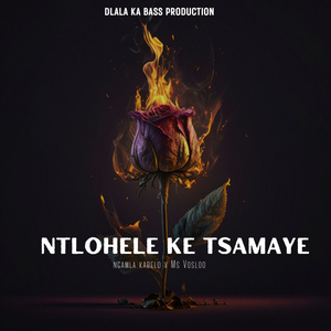 Ntlohele Ke Tsamaye (Radio Edit)