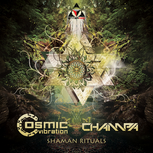 Shaman Rituals (Original Mix)