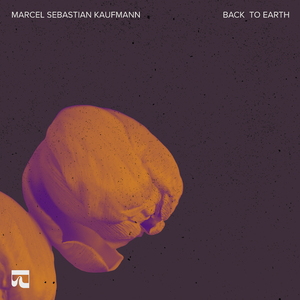 Back To Earth