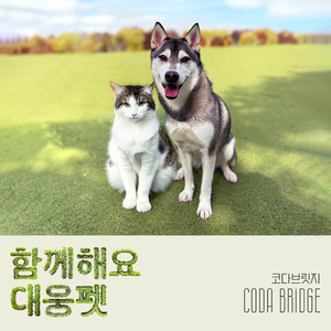 함께해요 대웅펫 (Feat. 코다 브릿지)