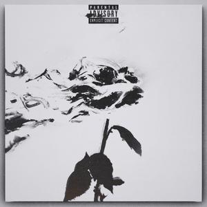 Never Give Up on Love (feat. Kadi)