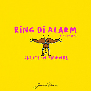 RiNG Di ALARM