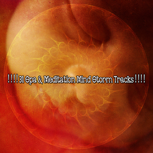 暴風雨之夜關閉