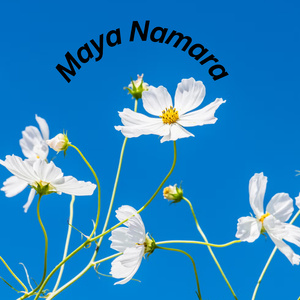 maya Namara
