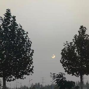 有幸来过--cover要不要买菜