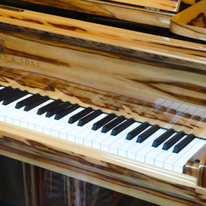 Liszt Consolation No. 1 in E Major Andante con moto
