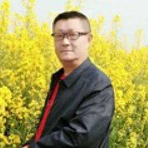 梦中有片绿草地 伴奏