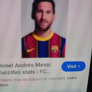 De vuelta a casa leo