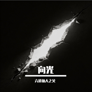 《向光》
