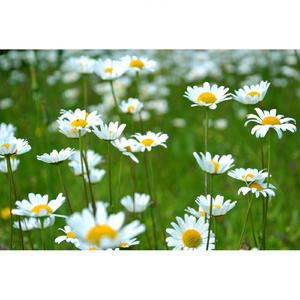 우리가 살아가는 동안에