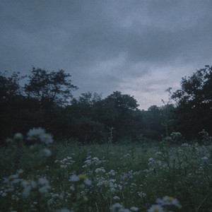 我正慢慢忘记你的脸