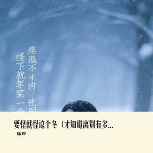 要怪就怪这个冬（才知道离别有多痛）