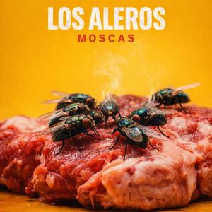 Moscas