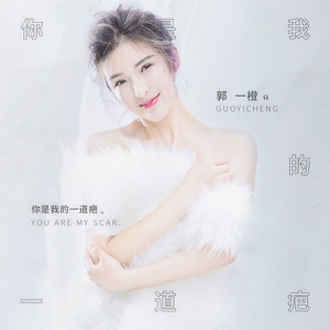 你是我的一道疤 (DJ何鹏版)