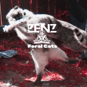 FERAL CATS