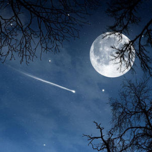 国与家撞了个满怀