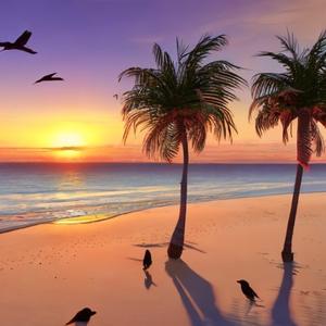 Popular (Music from the HBO Original Series) (slowed + reverb)