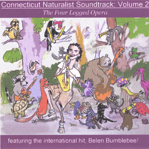 Like a Shooting Star