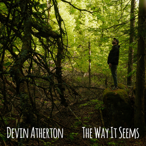 The Way It Seems (acapella) (Acapella)