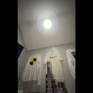 SHEWOULDDOIT_FORSOME_ART