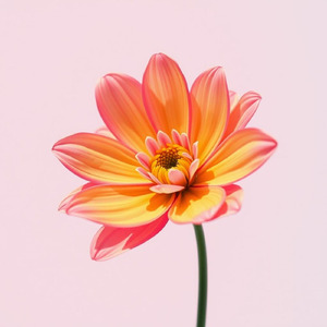 幸せは“誰かになる”ことじゃない 今日くらい “自分”に「ありがとう」って言おう