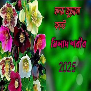 মিলাদ শরিফ best milat