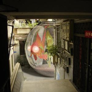 《恋爱的犀牛：6小时的梦》