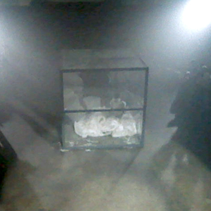 ANTECHAMBER