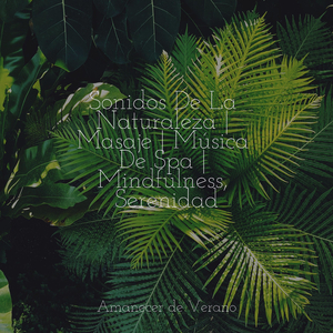 Liberando Llamas Eternas