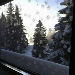 专属天使（coverTank）