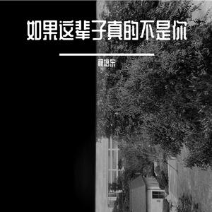 如果这辈子真的不是你