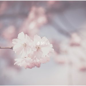 春酔い