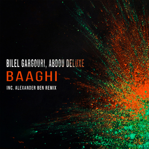 Baaghi (Alexander Ben Remix)
